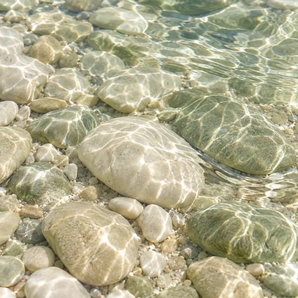 Clear coastal water over pale pebbles, representing the marine category